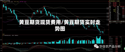 黄豆期货现货费用/黄豆期货实时走势图-第2张图片
