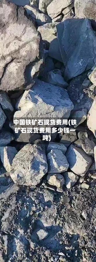 中国铁矿石现货费用(铁矿石现货费用多少钱一吨)-第2张图片
