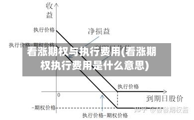 看涨期权与执行费用(看涨期权执行费用是什么意思)-第3张图片
