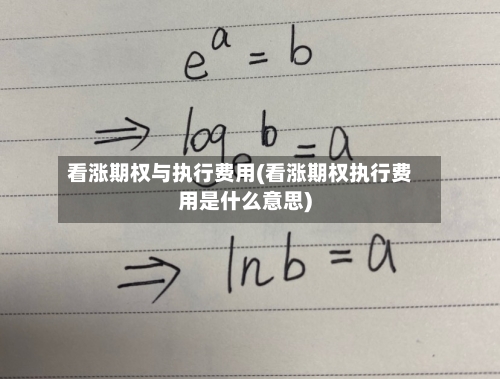 看涨期权与执行费用(看涨期权执行费用是什么意思)-第2张图片