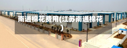 南通棉花费用(江苏南通棉花)-第2张图片